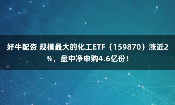 好牛配资 规模最大的化工ETF（159870）涨近2%，盘中净申购4.6亿份！