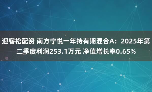 迎客松配资 南方宁悦一年持有期混合A：2025年第二季度利润253.1万元 净值增长率0.65%