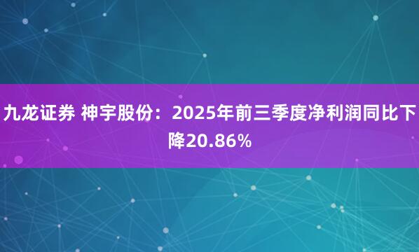 九龙证券 神宇股份：2025年前三季度净利润同比下降20.86%