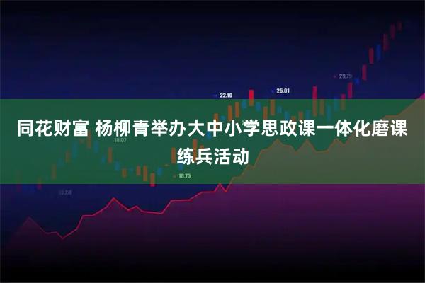 同花财富 杨柳青举办大中小学思政课一体化磨课练兵活动