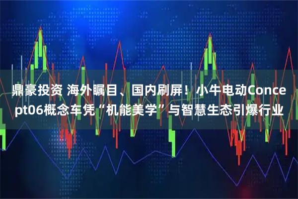 鼎豪投资 海外瞩目、国内刷屏!小牛电动Concept06概念车凭“机能美学”与智慧生态引爆行业