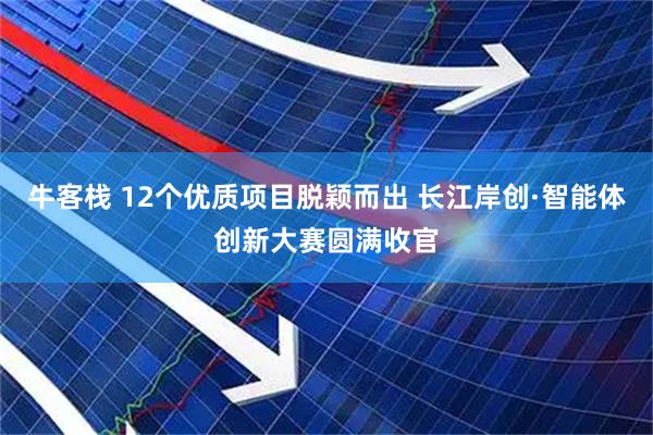 牛客栈 12个优质项目脱颖而出 长江岸创·智能体创新大赛圆满收官